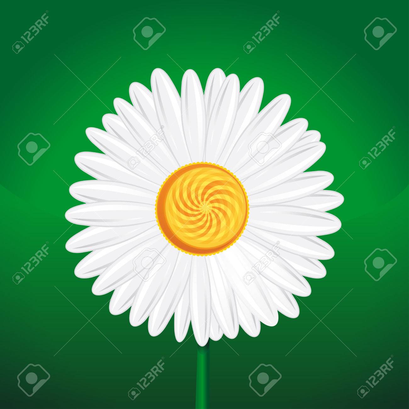カモミール カモミール デイジー ホイール デイジー チェーン Chamomel ヒナギクの花のクローズ アップ 緑の背景に白いデイジー イラスト 緑の背景に分離されたカモミールの花のイラスト素材 ベクタ Image カモミール カモミール デイジー ホイール デイジー チェーン Chamomel ヒナギクの花のクローズ アップ 緑の背景に白いデイジー イラスト 緑の背景に分離されたカモミールの花のイラスト素材 ベクタ Image