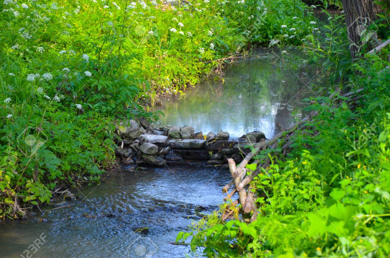 small clean river and