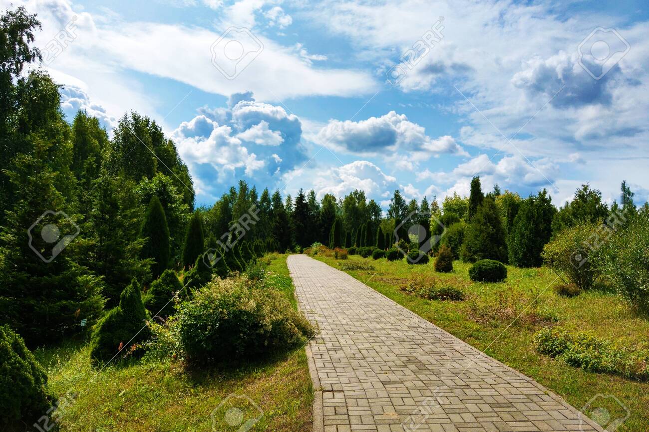 Clear Sunny Day In Spring Or Summer Park, Nature Background Фотография,  картинки, изображения и сток-фотография без роялти. Image 137346288