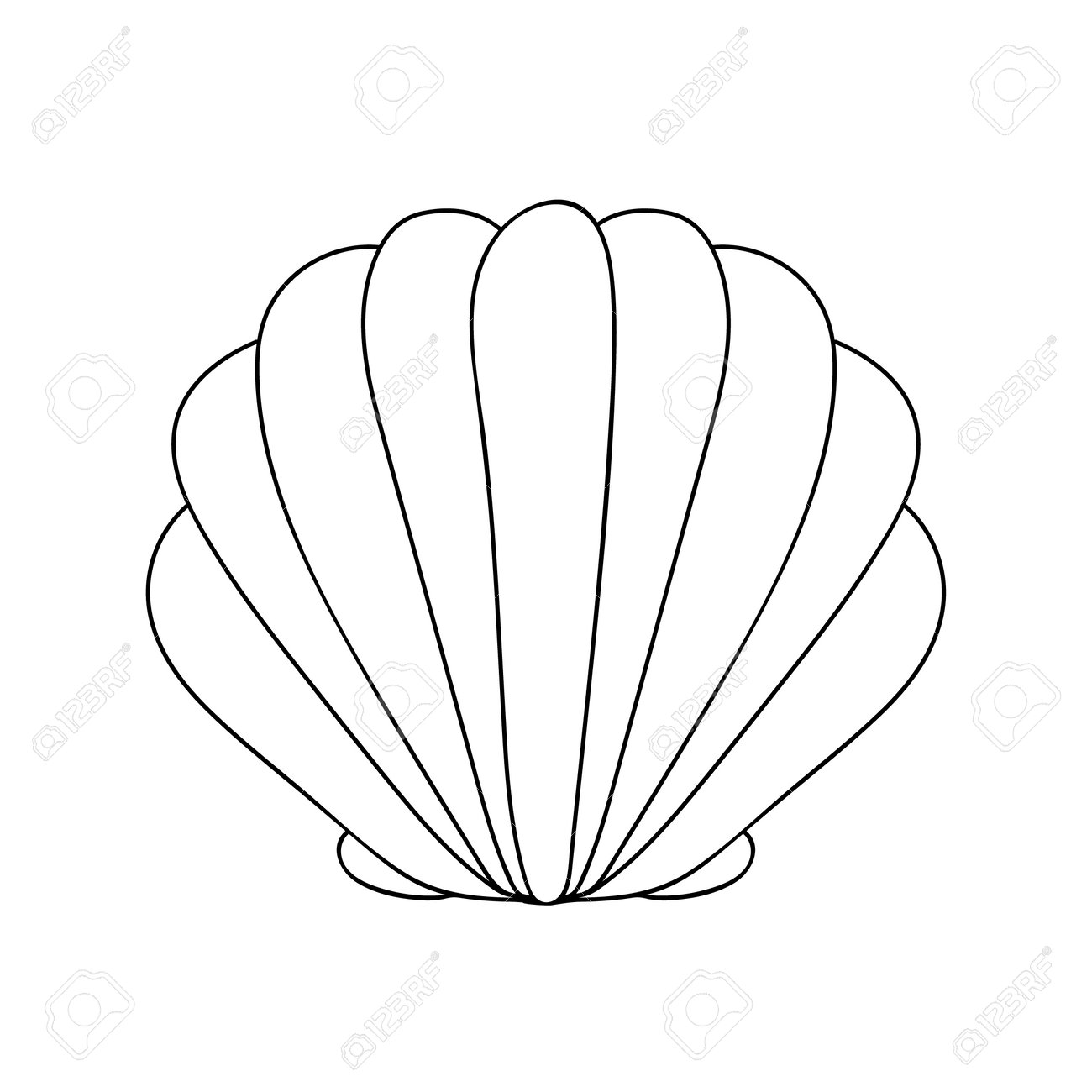 Doodle Ilustración De Vector De Concha De Mar. Concha Dibujada A Mano  Aislada. Página Para Colorear Con Concha De Mar. Ilustraciones svg,  vectoriales, clip art vectorizado libre de derechos. Image 196395534