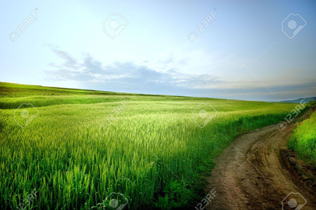 Rural landscape with road and blue sky - 3116955 Rural landscape with road and blue sky - 3116955