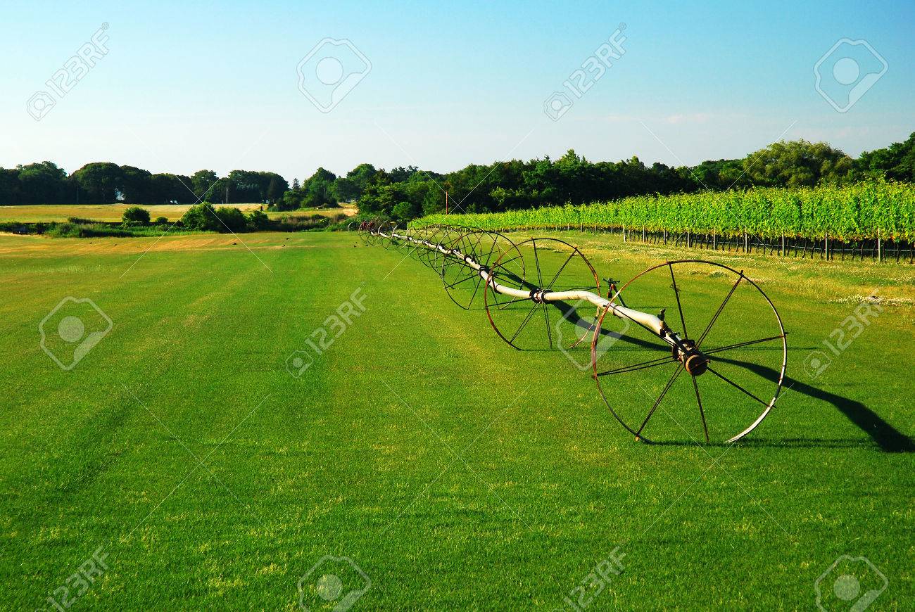 Long Island Sod Farm Stock Photo Picture And Royalty Free Image Image 66313863
