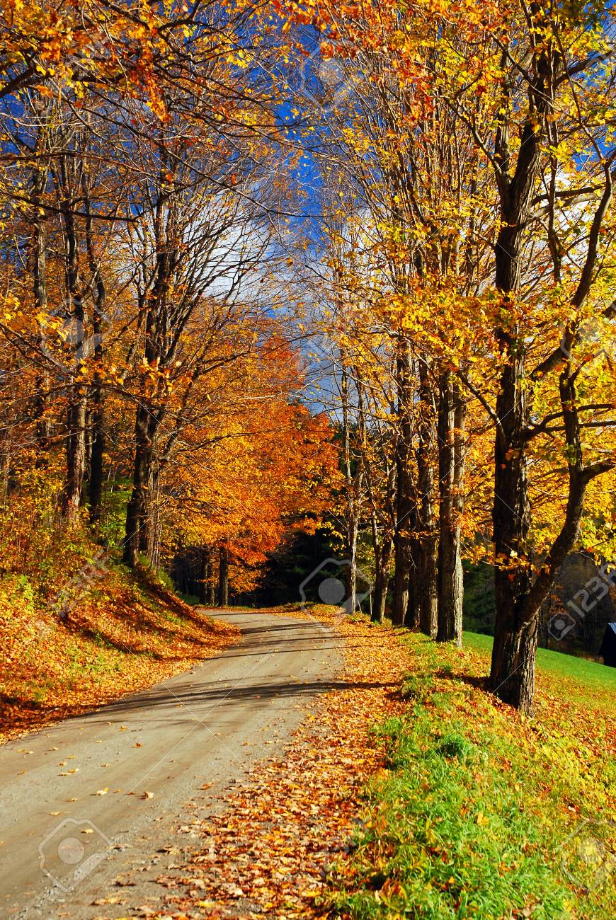 Autumn Country Road