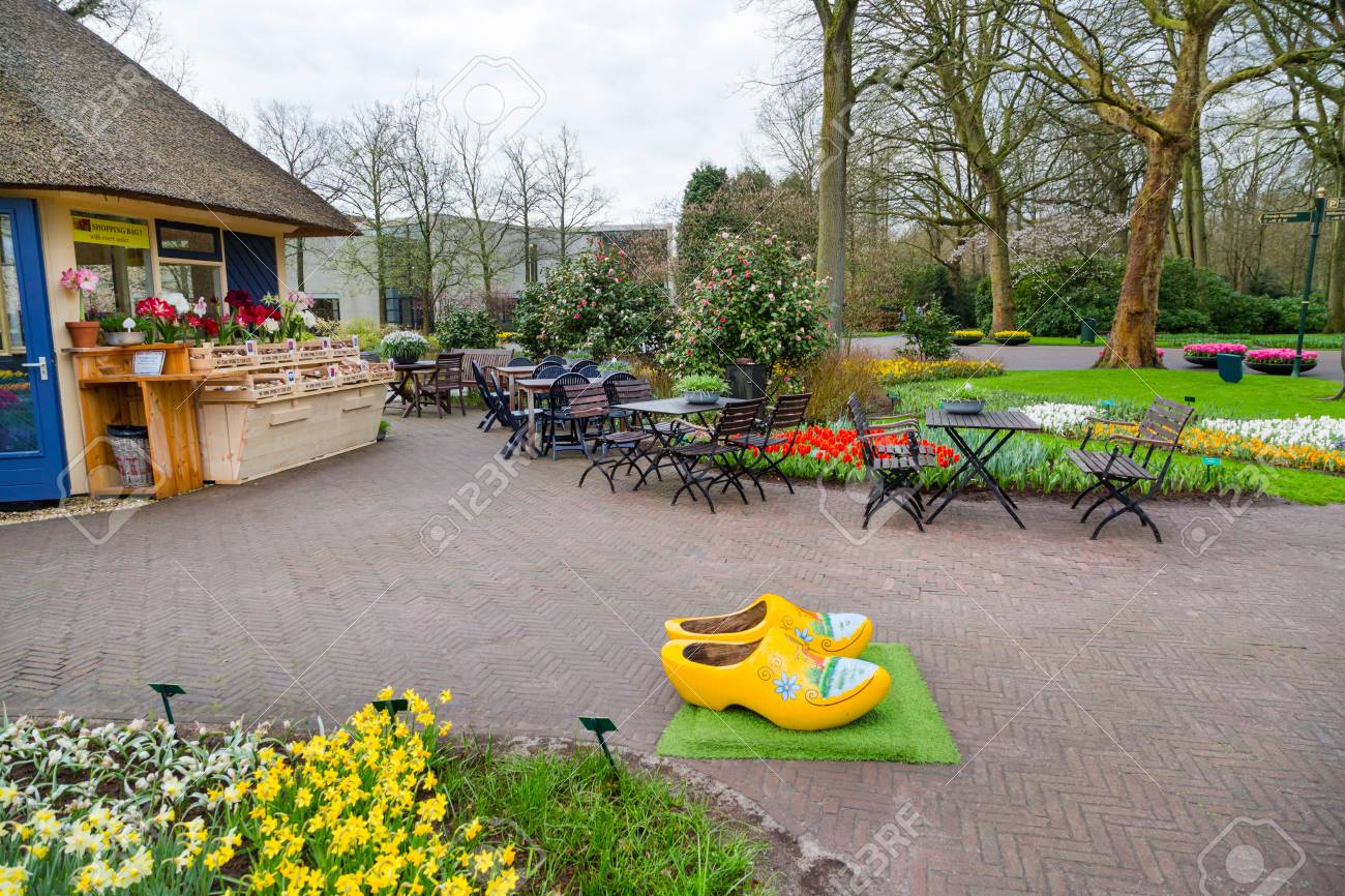 lisse netherlands april 4 2016 typical yellow dutch wooden clogs or klompen