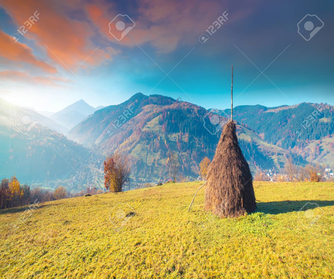 高原植生のささやかな夏と秋 寒い気候の前に異常に美しい色の花 ブルーベリー明るい赤 針葉樹の緑 オレンジ北山 Sinie 素晴らしい魅力森林 の写真素材 画像素材 Image 高原植生のささやかな夏と秋 寒い気候の前に異常に美しい色の花 ブルーベリー明るい赤 針葉樹の緑 オレンジ北山 Sinie 素晴らしい魅力森林 の写真素材 画像素材 Image