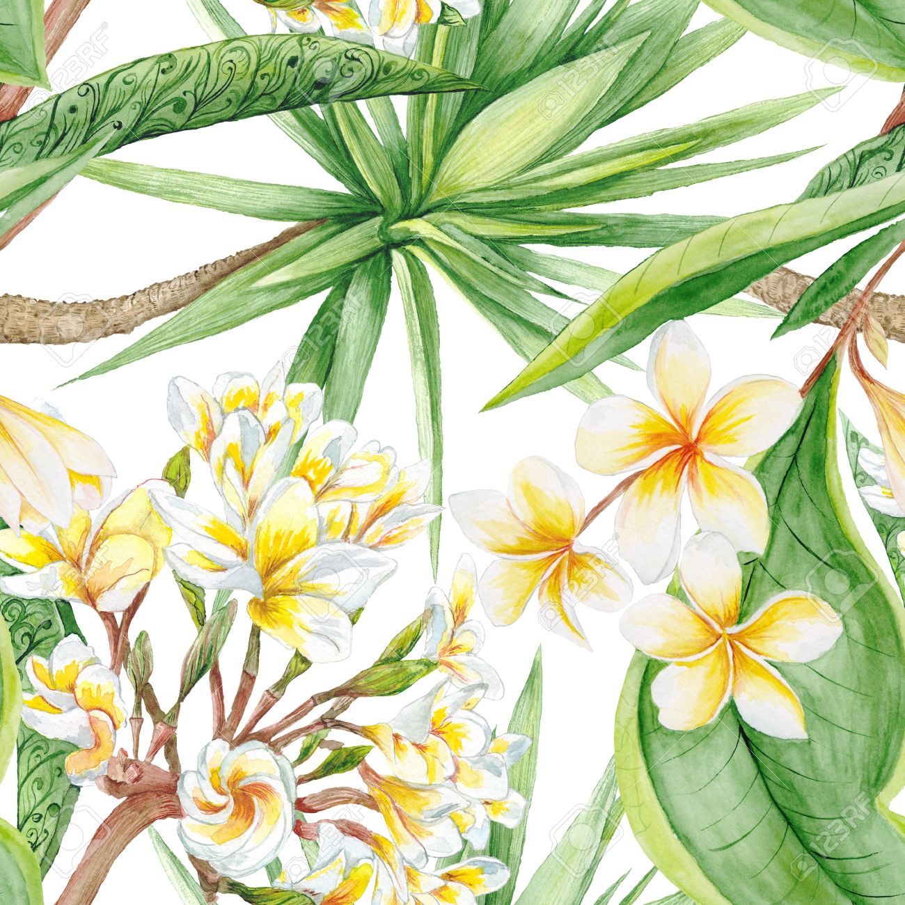 プルメリアの花とユッカ ツリー シームレスなタイル手描き水彩植物園イラスト の写真素材 画像素材 Image
