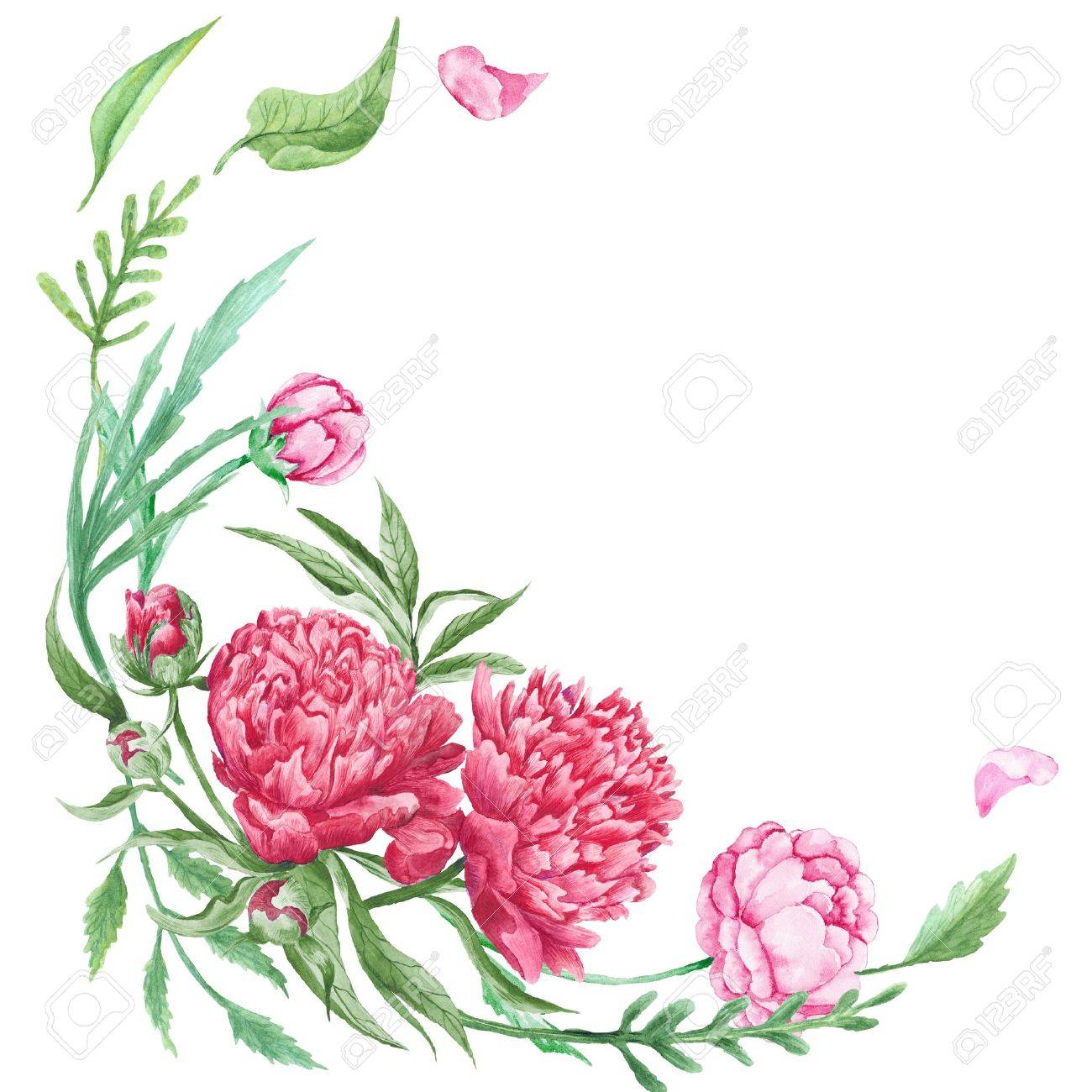 ロマンチックなデザインの葉とピンクの手描き花水彩画ボタニカル イラスト の写真素材 画像素材 Image