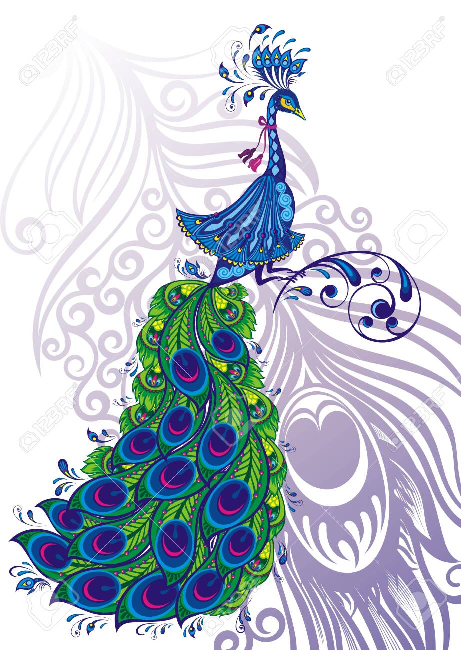 Fantasy Peacock Drawing. Beautiful Peacock Bird. Клипарты, SVG, векторы, и  Набор Иллюстраций Без Оплаты Отчислений. Image 135041594