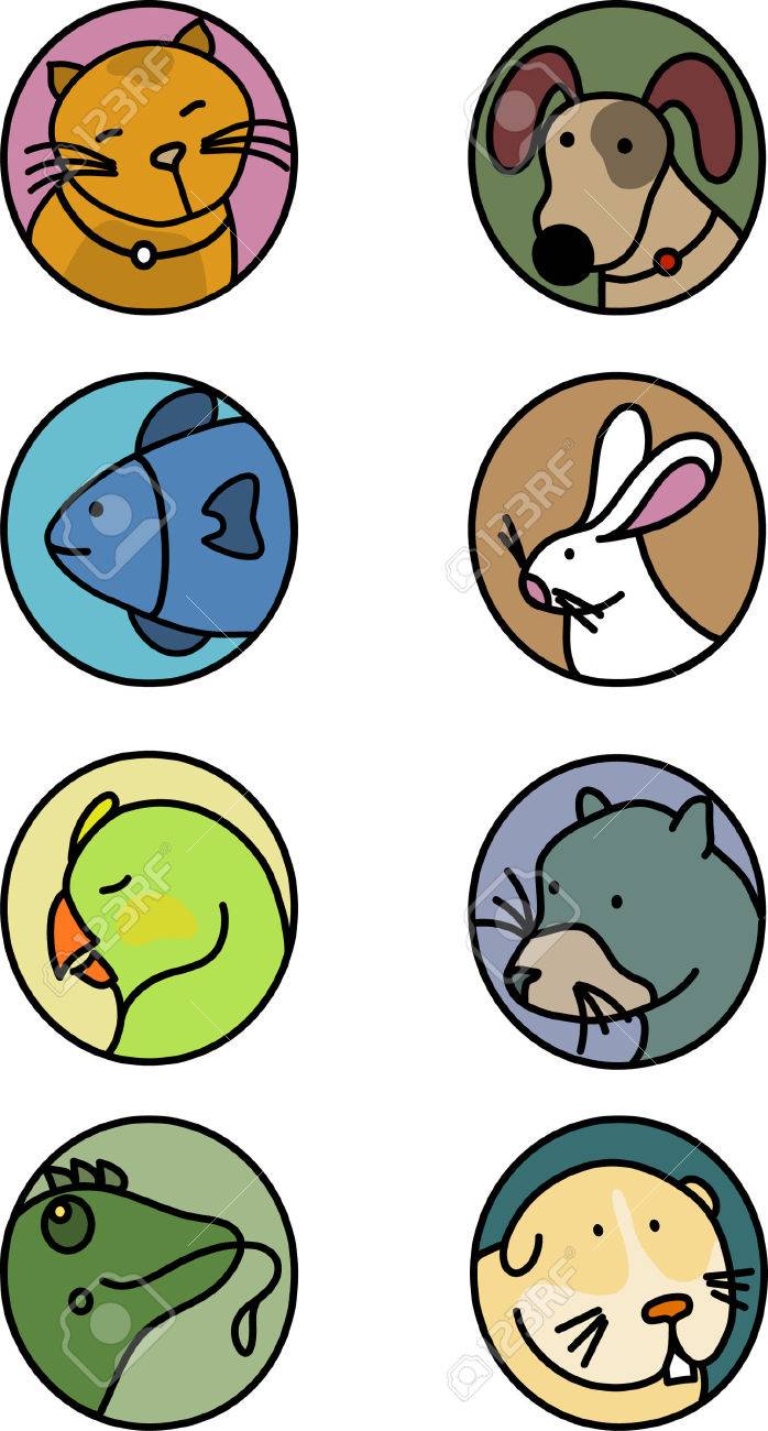 agouti siberian husky puppies