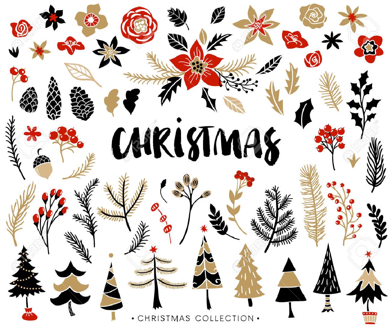 Christmas set of plants with flowers, spruce branches, leaves and berries. Christmas trees. Handwritten modern brush lettering. Hand drawn design elements. - 47968955 Christmas set of plants with flowers, spruce branches, leaves and berries. Christmas trees. Handwritten modern brush lettering. Hand drawn design elements. - 47968955
