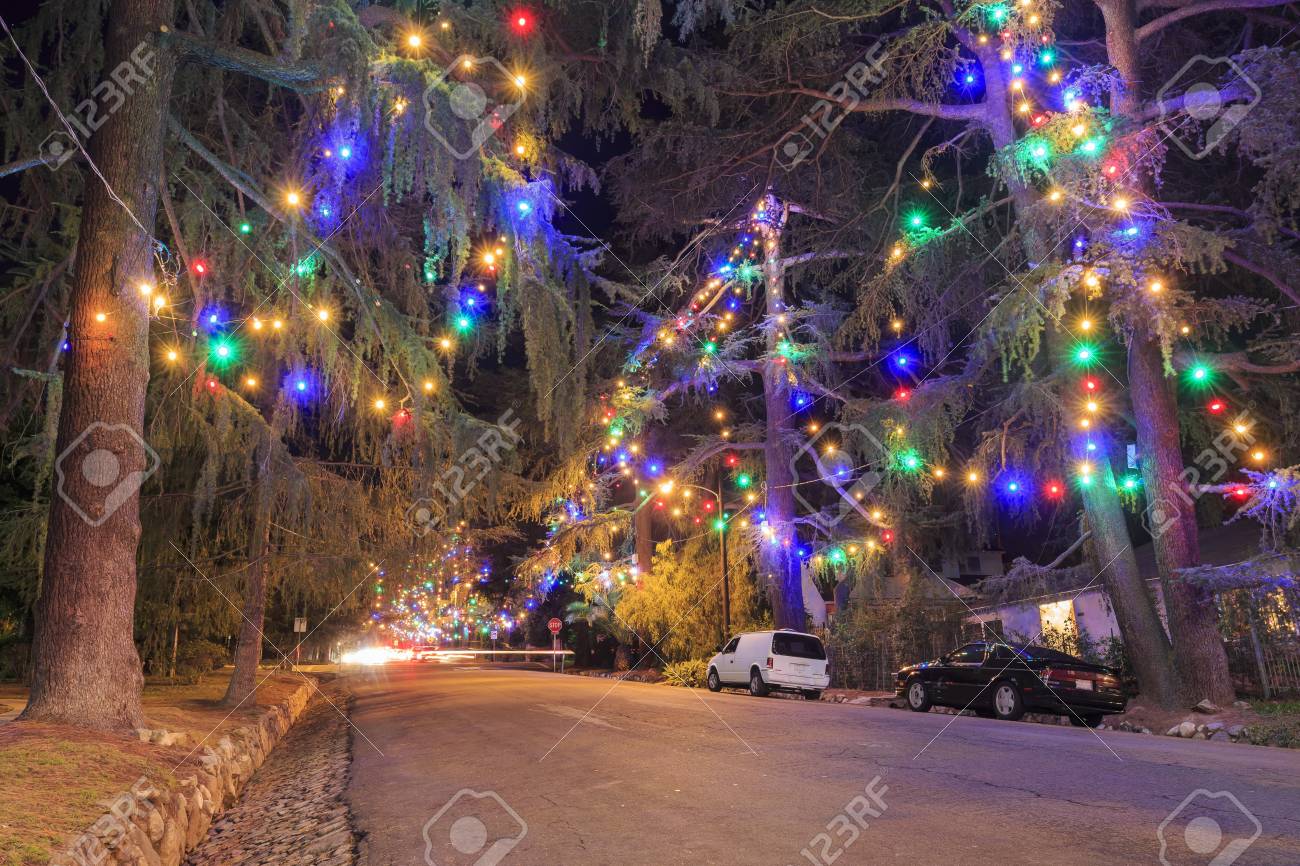 Famous Tree Lights Of Christmas Lane At Night Los Angeles Stock Photo Famous Tree Lights Of Christmas Lane At Night Los Angeles Stock Photo