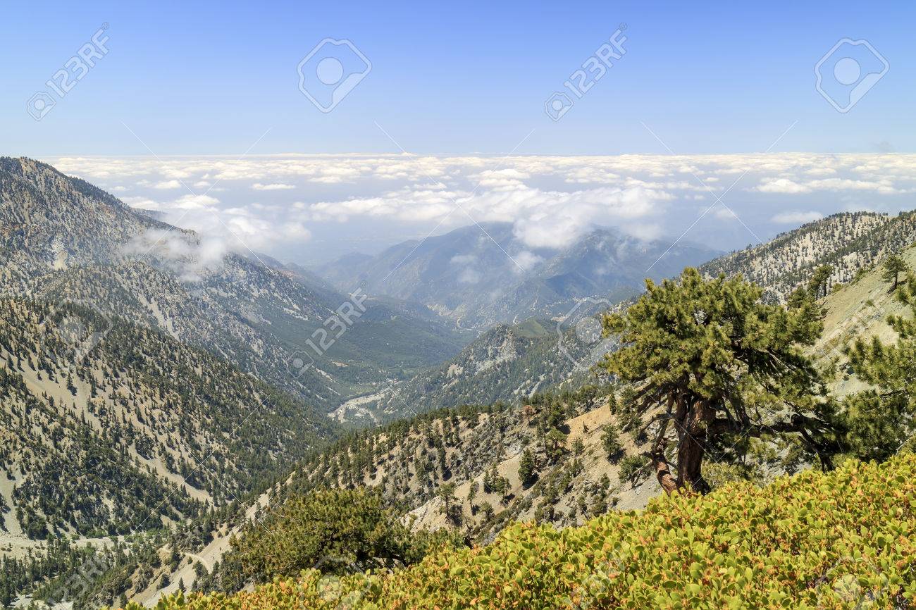 ロサンゼルス カリフォルニア州で山のはげ頭トレイルでのハイキング の写真素材 画像素材 Image