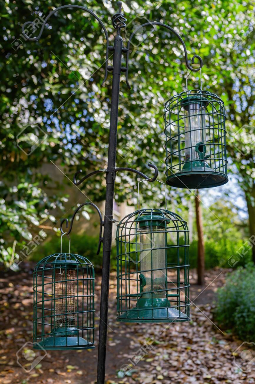 garden bird cages
