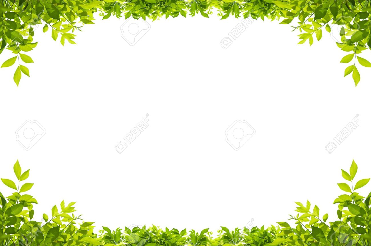leaves frame isolated on white background - 17066310 leaves frame isolated on white background - 17066310