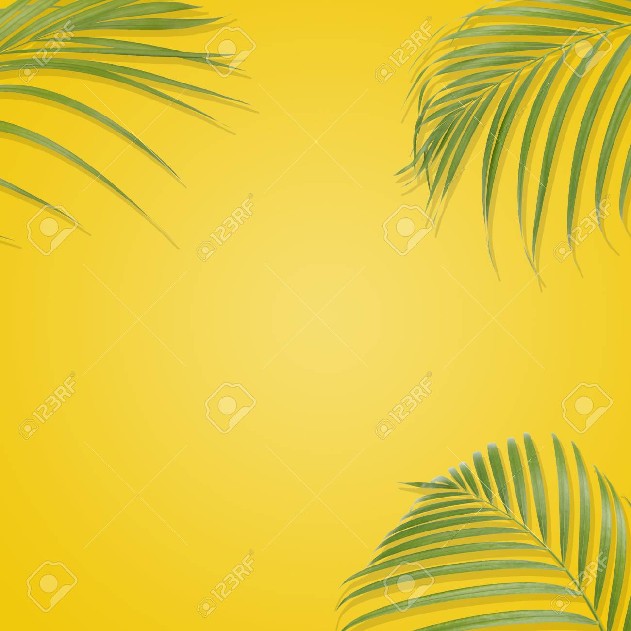 黄色の背景に熱帯のヤシを葉します 最小限の自然 夏のスタイル