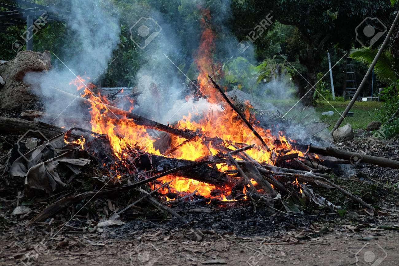 庭で焚き火 の写真素材 画像素材 Image