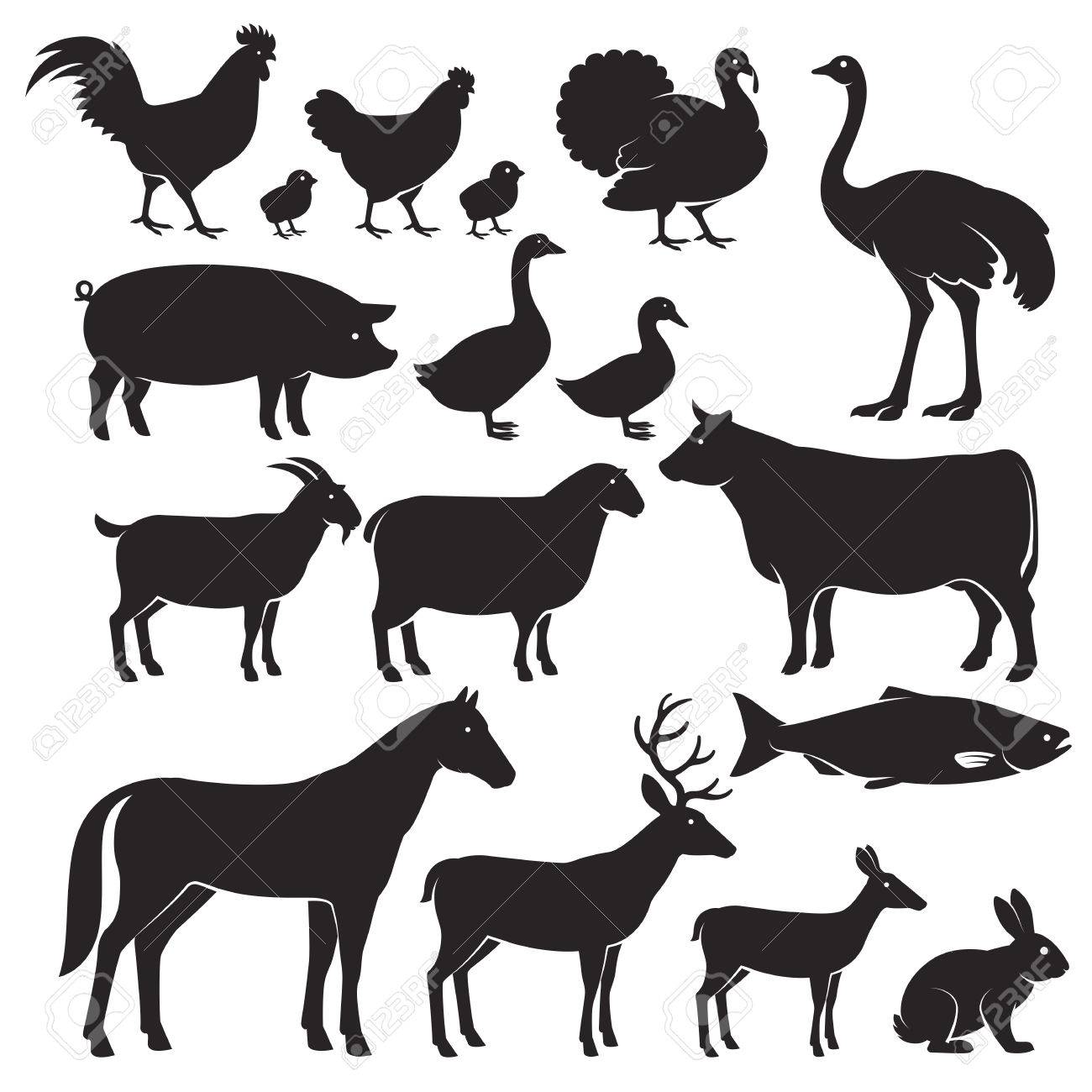 Farm animals silhouette icons. Vector illustrations - 67684807 Farm animals silhouette icons. Vector illustrations - 67684807