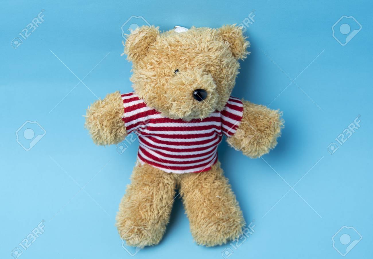 teddy bear for lover