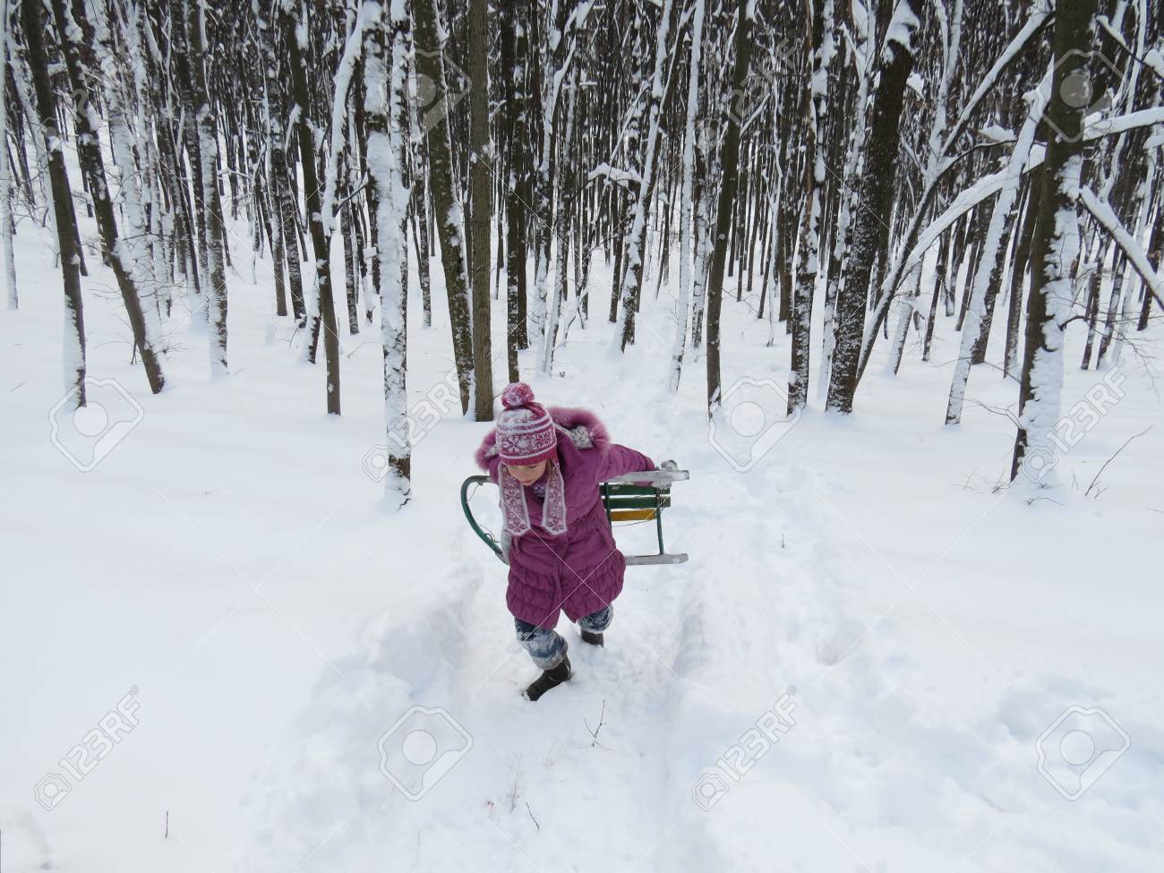 冬に雪の上をそりで遊んで女の子 の写真素材 画像素材 Image