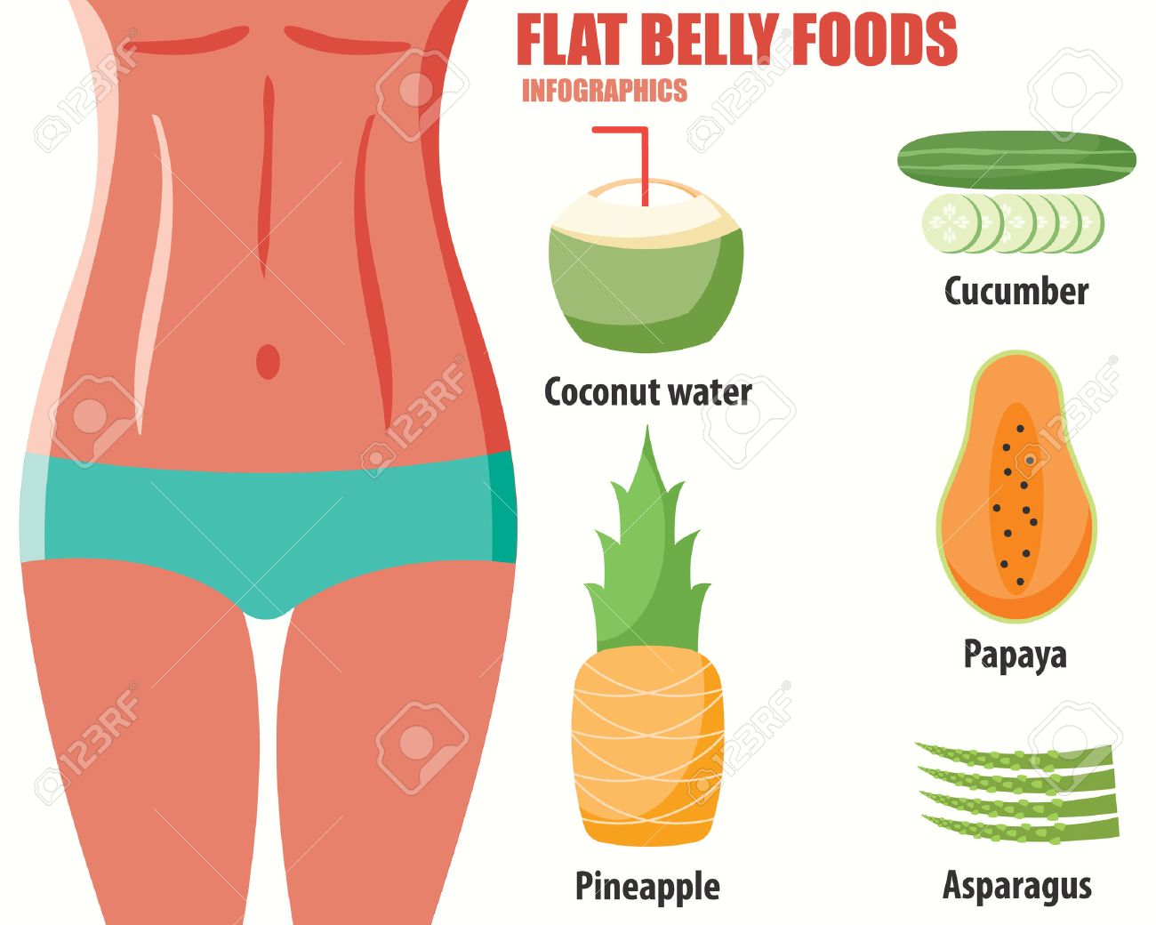 Flat Belly Foods Infographics Royalty Free Cliparts Vectors And Stock Illustration Image 44994547