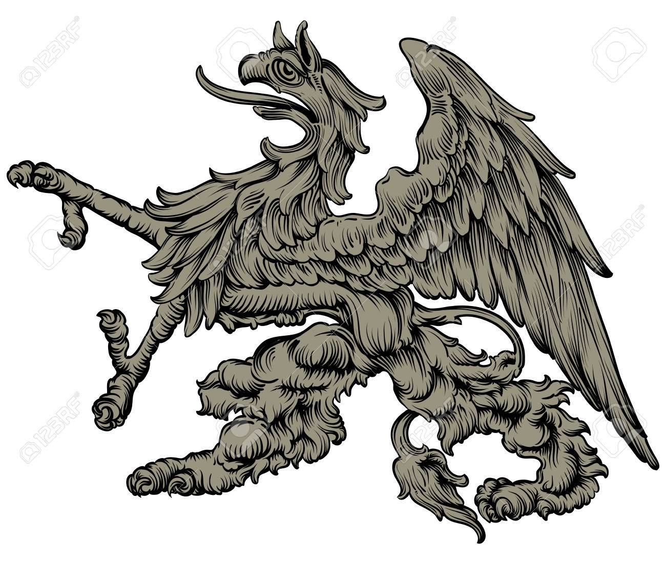 freehand drawing mythical griffin used in medieval heraldry stock vector 40831604