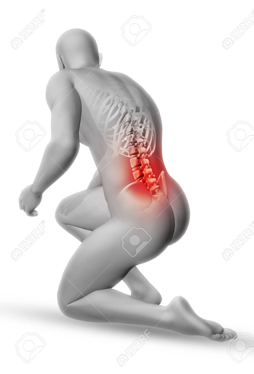 中腰でスケルトンと 3 D 男性医療図 の写真素材 画像素材 Image
