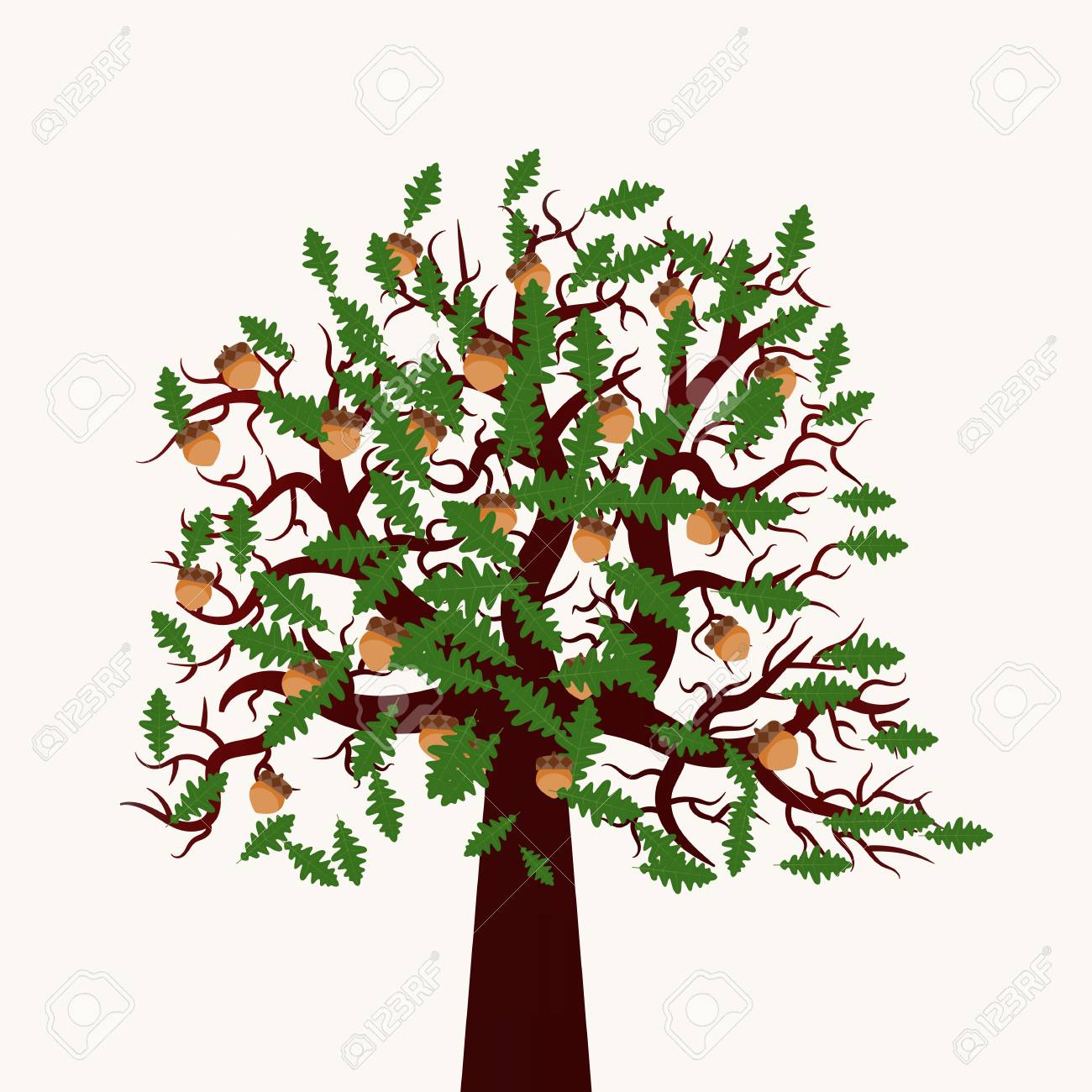 Vector Illustration Of Oak Tree With Leaves And Acorns. Flat Design Without  Shadows. Beautiful And Stylish. Royalty Free SVG, Cliparts, Vectors, and  Stock Illustration. Image 69261356., image size:1300x1300