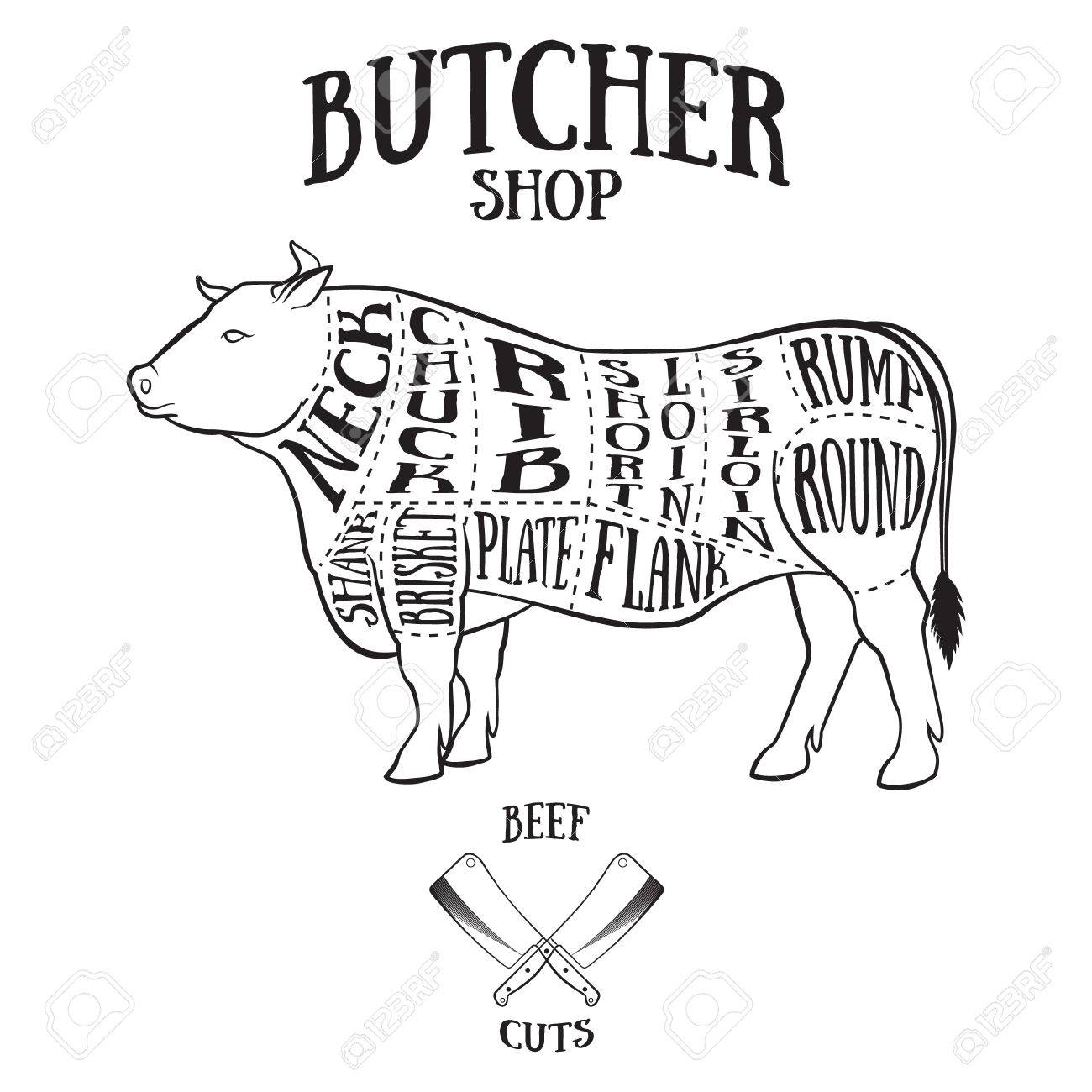 Butcher cuts scheme of beef.Hand-drawn illustration of vintage style - 41695395 Butcher cuts scheme of beef.Hand-drawn illustration of vintage style - 41695395
