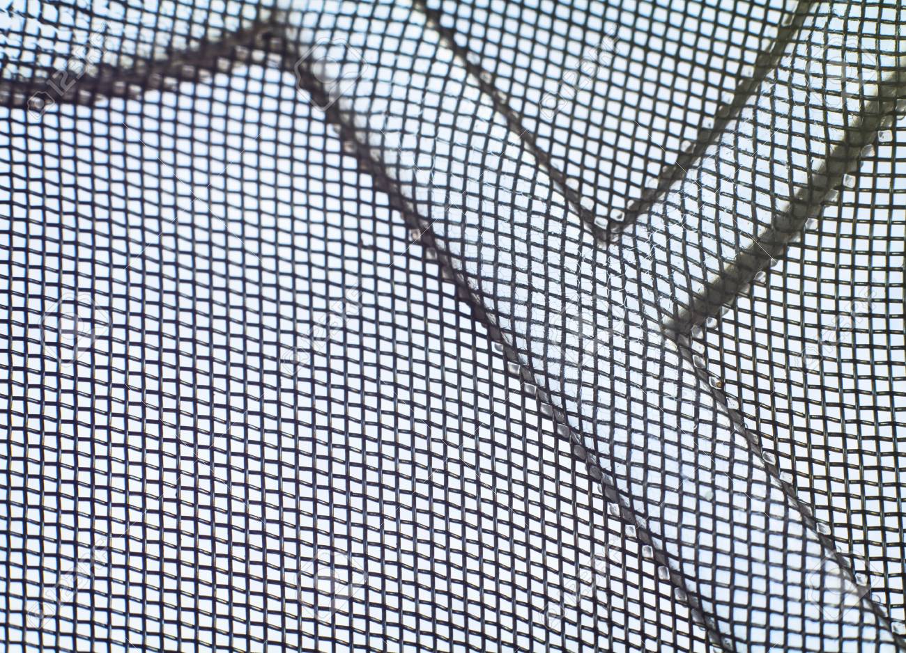 etiam-dictum-ipsum-a-felis