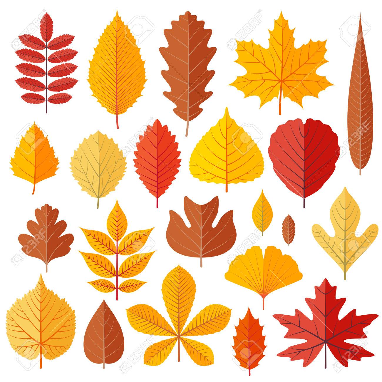 Ensemble De Feuilles D Automne D Arbre Isole Sur Le Blanc Illustration Vectorielle De Dessin Anime Clip Art Libres De Droits Vecteurs Et Illustration Image Ensemble De Feuilles D Automne D Arbre Isole Sur Le Blanc Illustration Vectorielle De Dessin Anime Clip Art Libres De Droits Vecteurs Et Illustration Image
