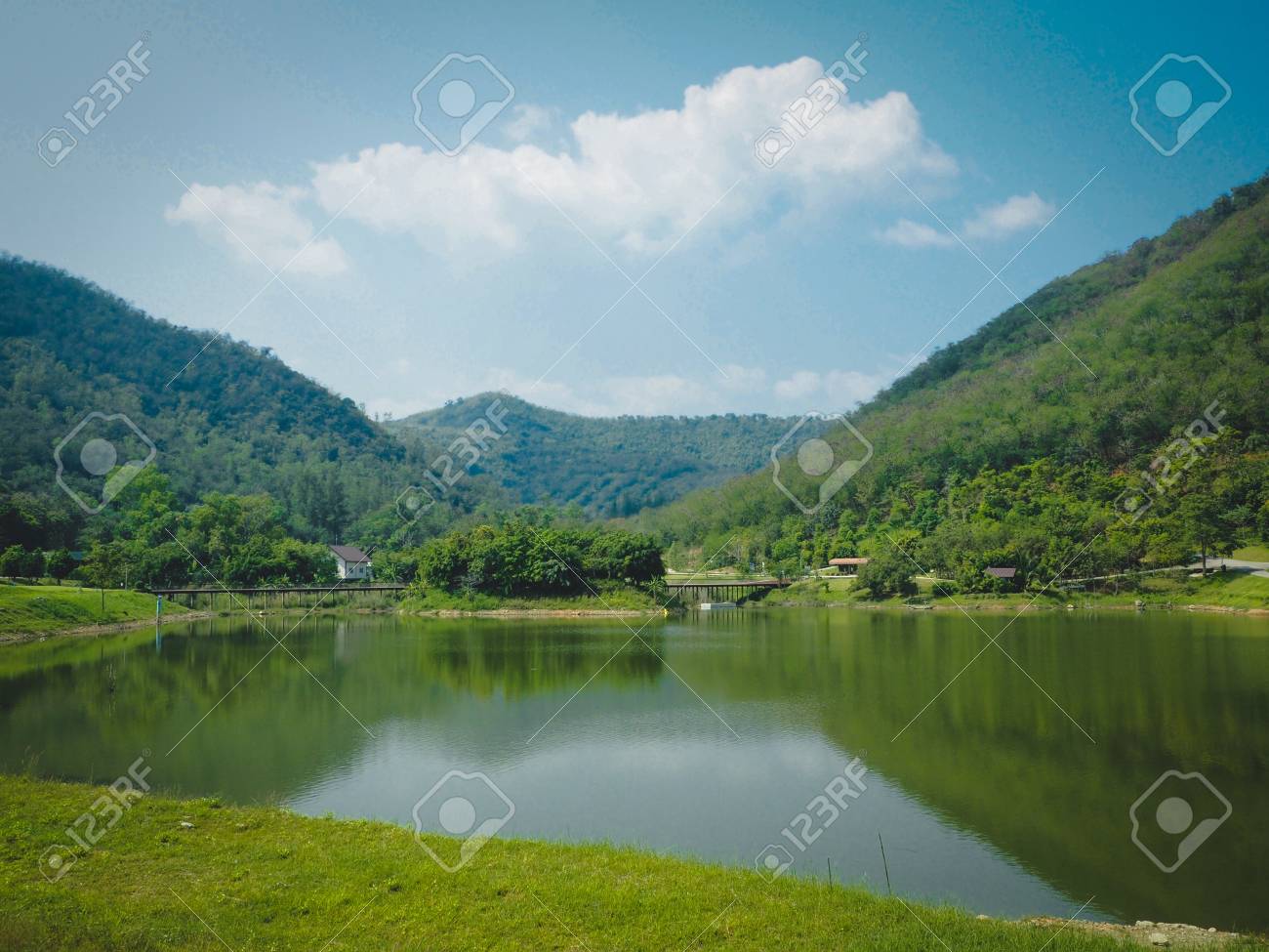 etiam-dictum-ipsum-a-felis