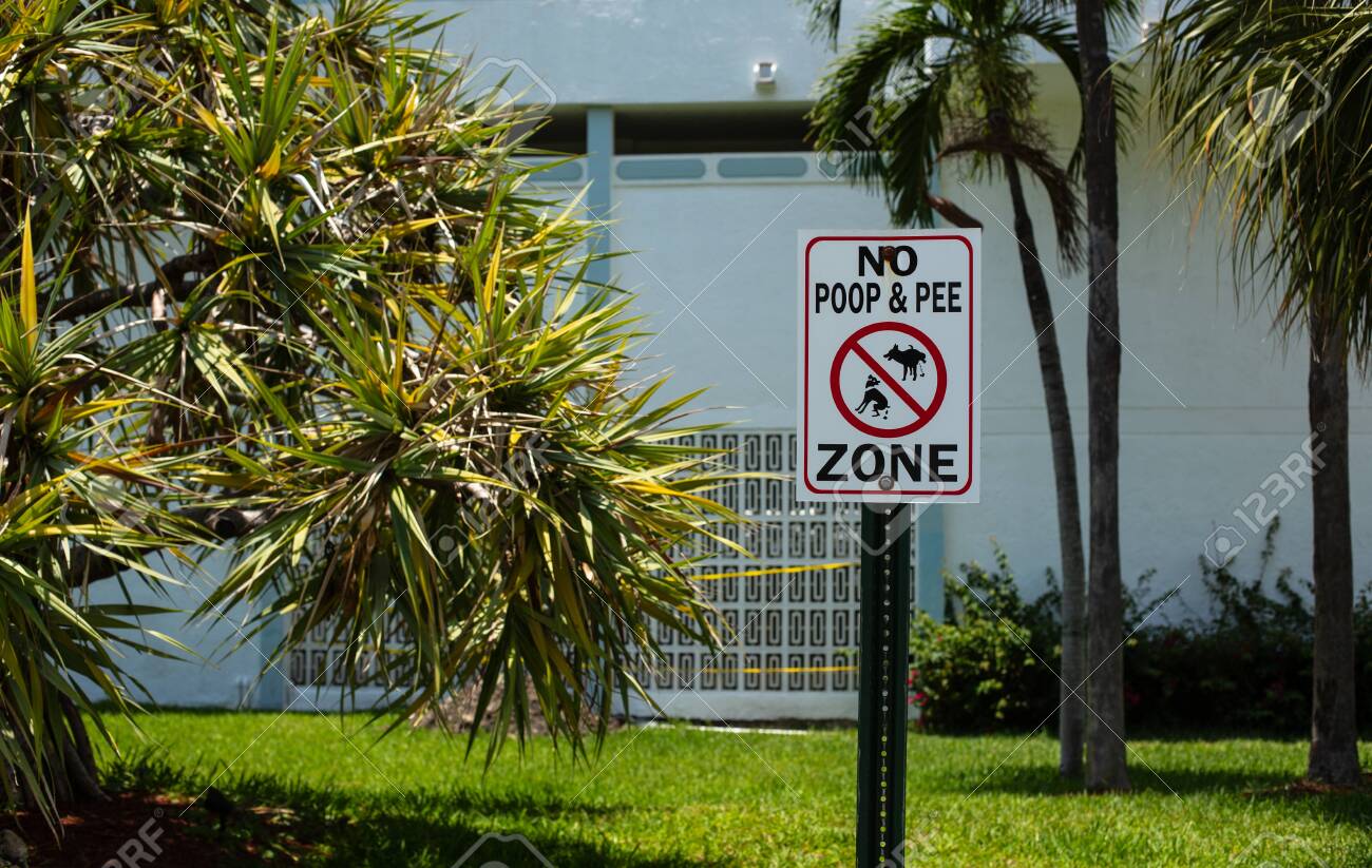 no dogs in the house