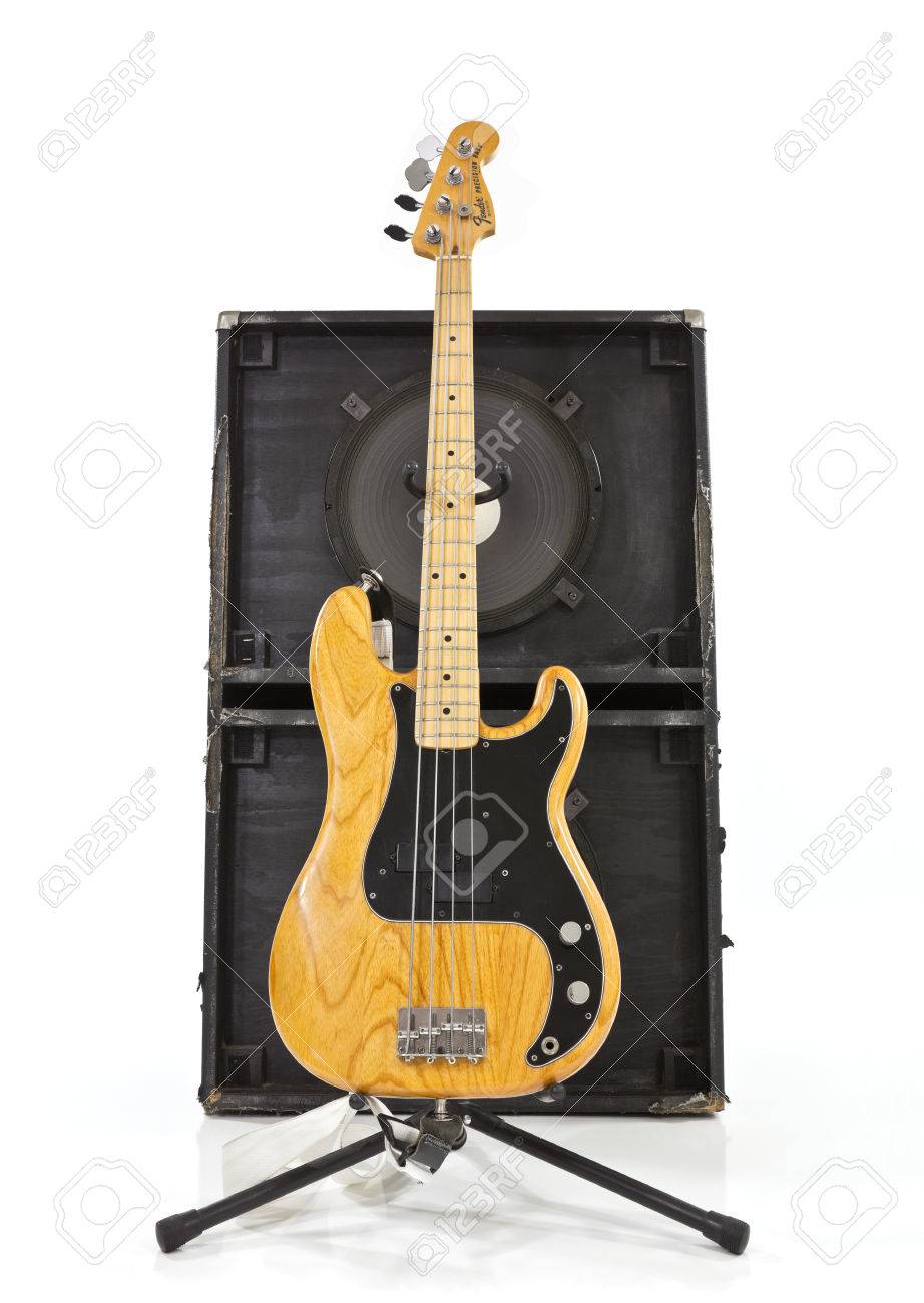 15 inch bass guitar speaker