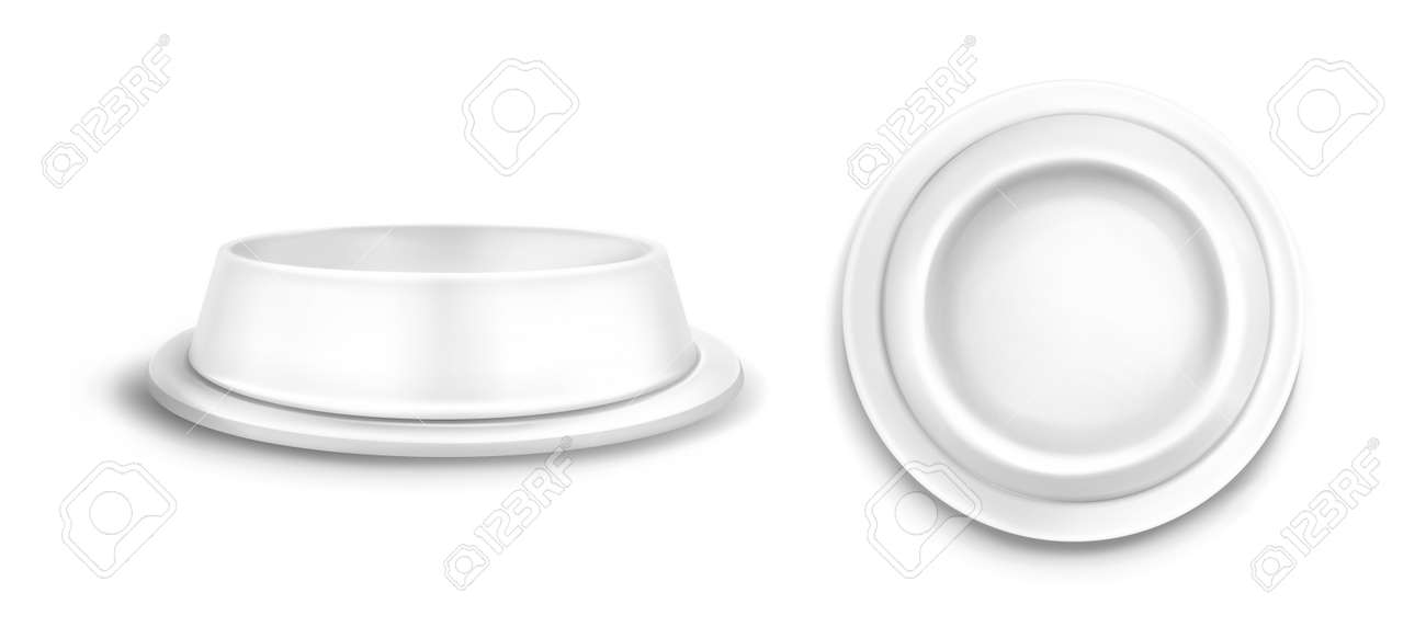Download Pet Bowl Mockup Front And Top View Blank Plastic Or Metal Plate Royalty Free Cliparts Vectors And Stock Illustration Image 165074512