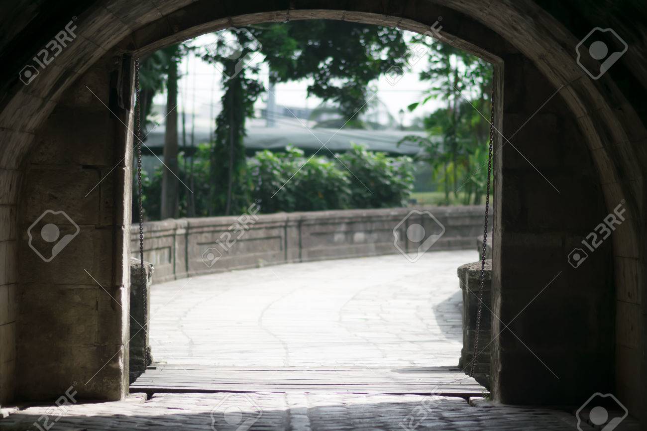 etiam-dictum-ipsum-a-felis