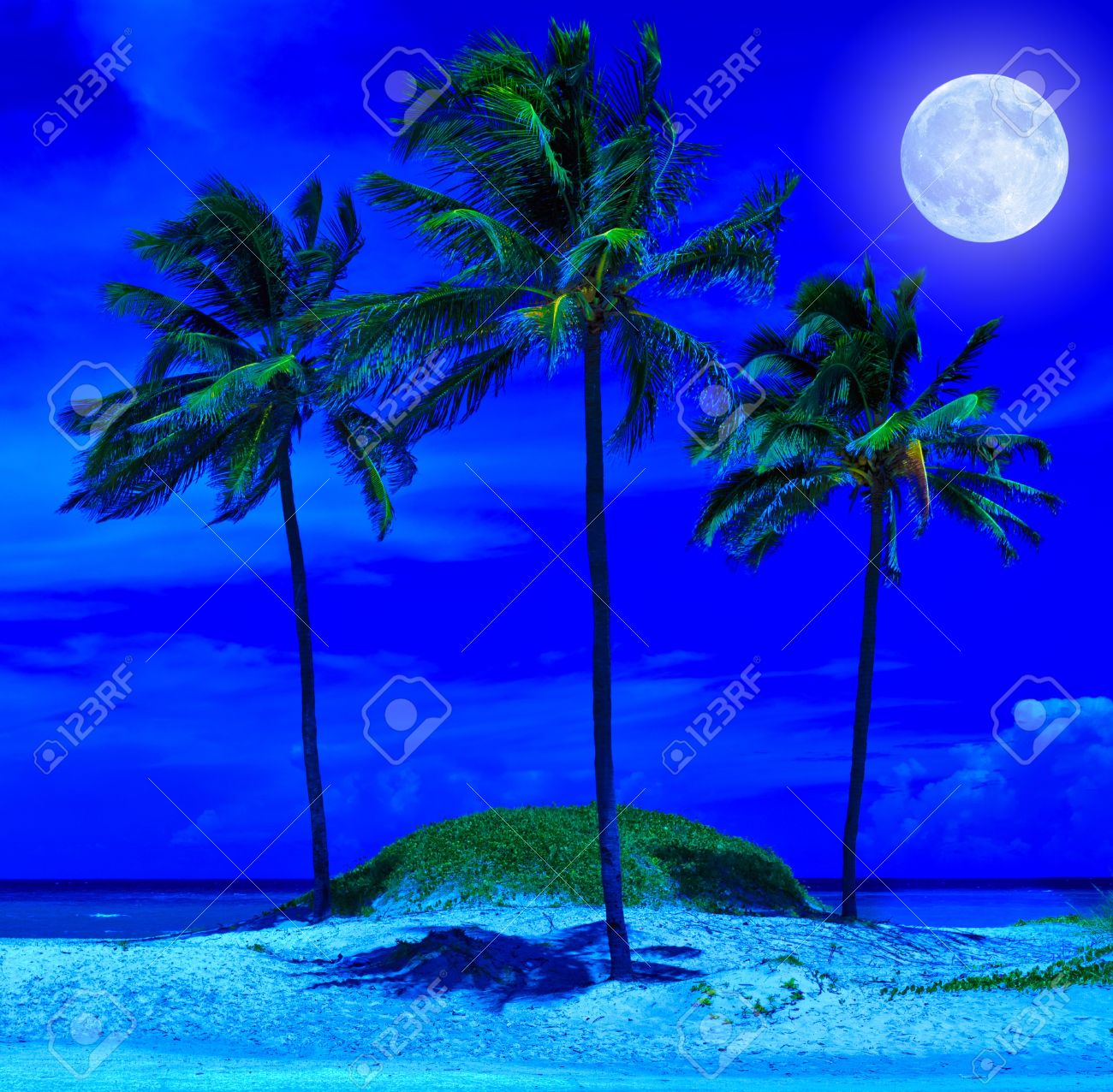Tropical Beach At Night With A Bright Full Moon Stock Photo, Picture And  Royalty Free Image. Image 11116379.
