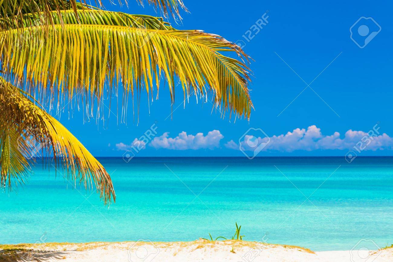 Palm Leaves Framing A Picture Of An Idyllic Tropical Beach In Stock Photo Picture And Royalty Free Image Image