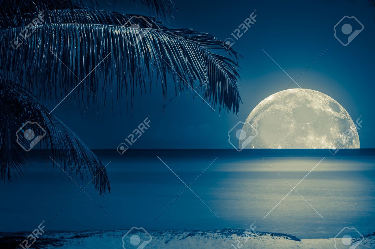 Beautiful full moon reflected on the calm water of a tropical beach (toned in blue) - 13971811 Beautiful full moon reflected on the calm water of a tropical beach (toned in blue) - 13971811