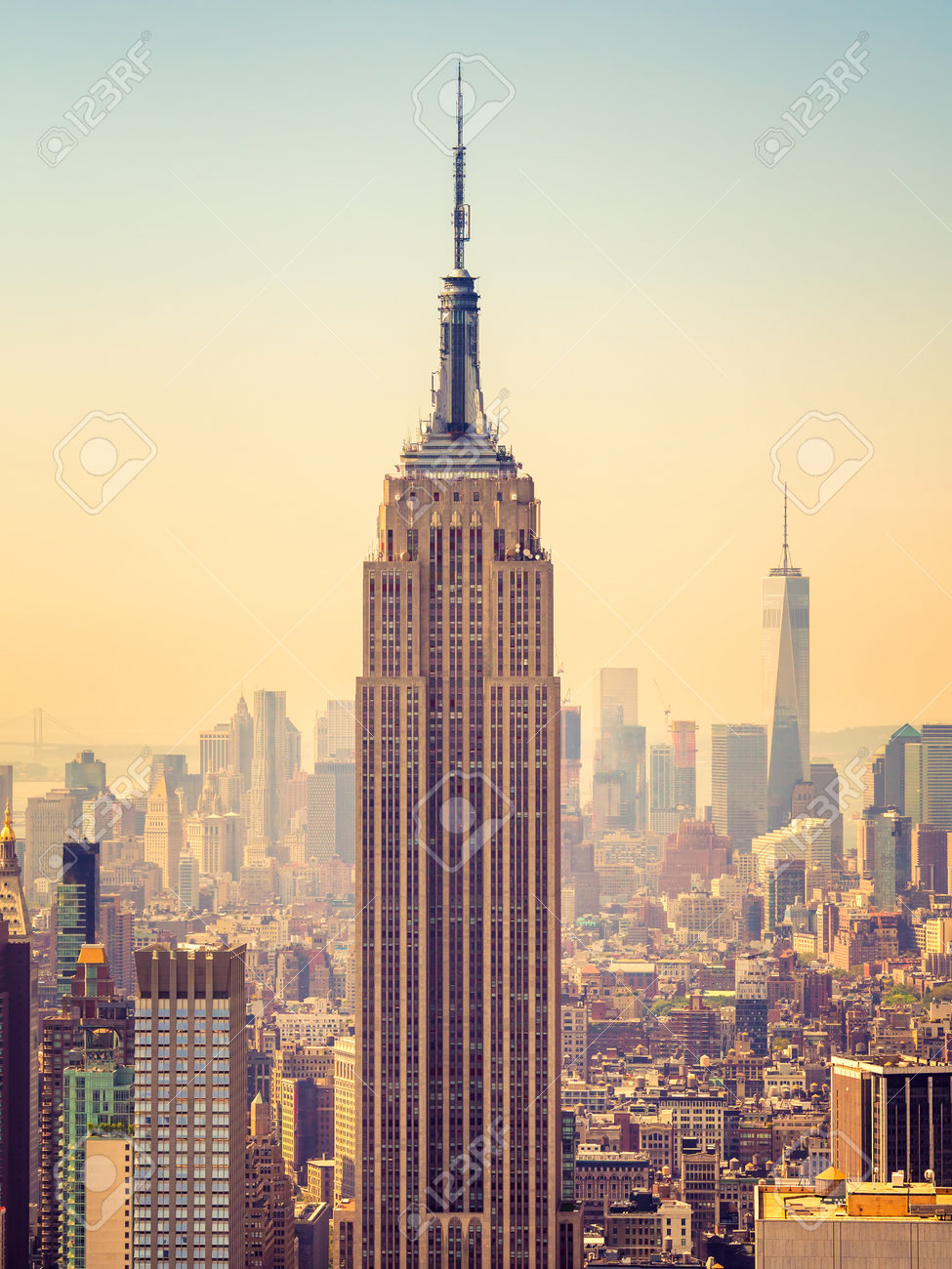 エンパイアステートビルに登ったイグアナ