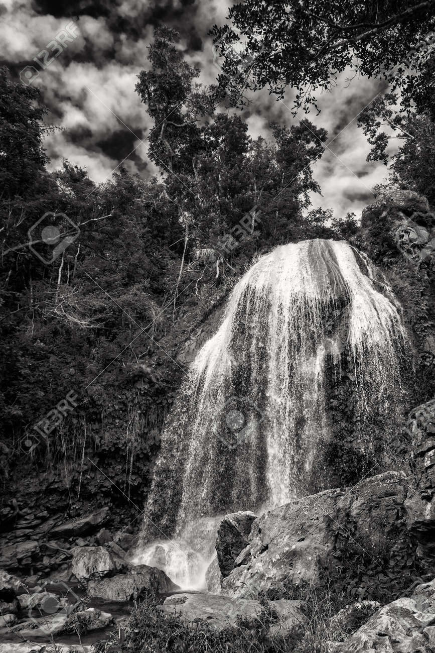 The Soroa waterfall among lush tropical vegetation in Cuba. Black and white image - 170651591 The Soroa waterfall among lush tropical vegetation in Cuba. Black and white image - 170651591