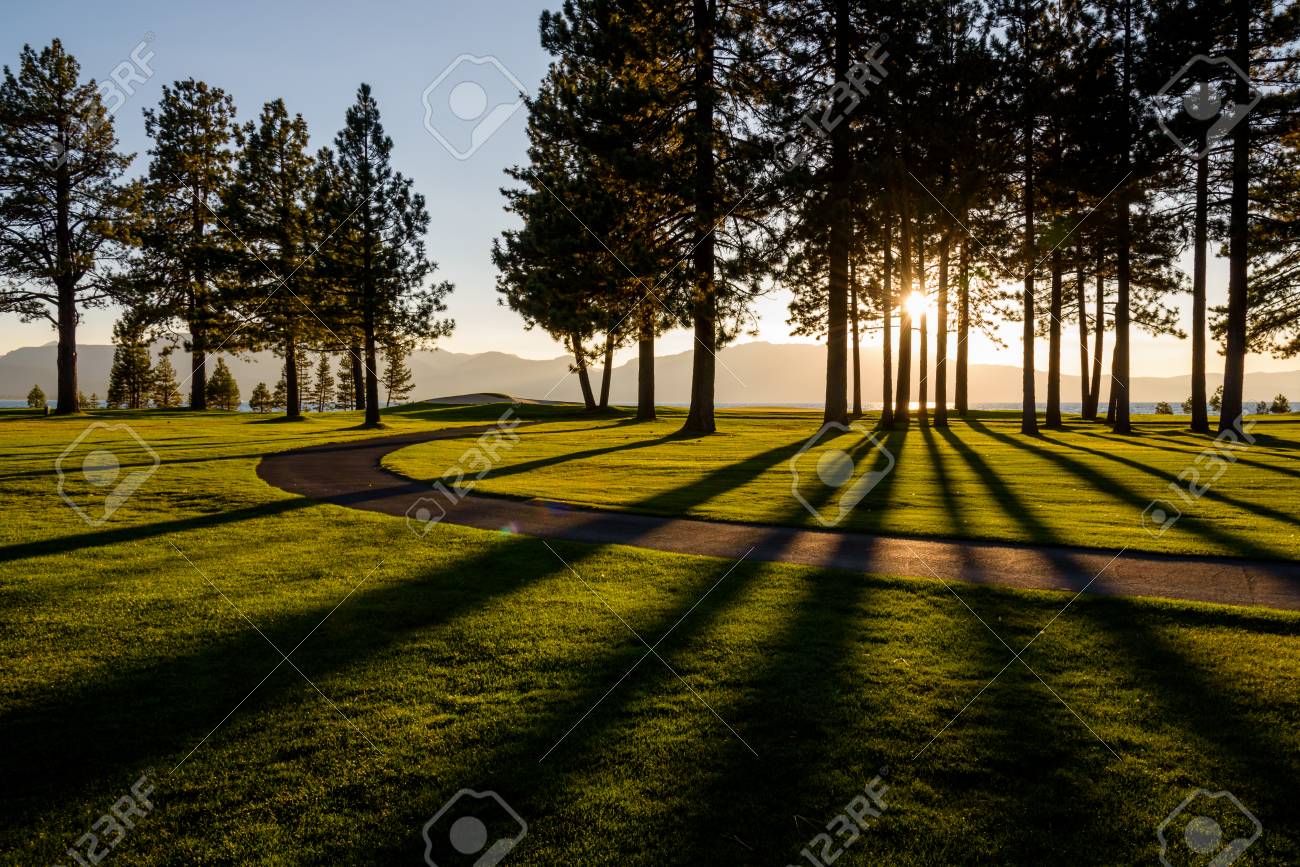 Early Evening On A Golf Course View From The Fairway Stock Photo Picture And Royalty Free Image Image