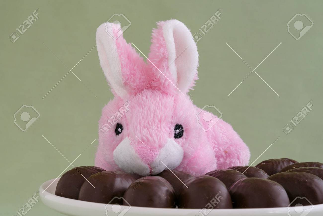 lapin de paques peluche