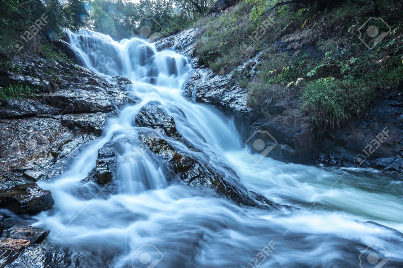 etiam-dictum-ipsum-a-felis