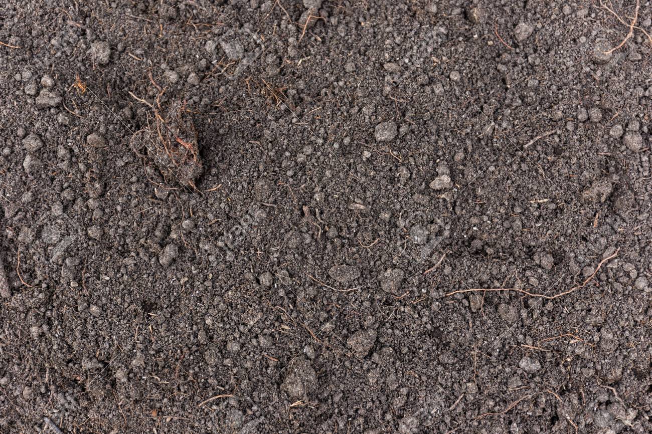 Dark Soil Texture Background Stock Photo, Picture And Royalty Free Image.  Image 54862624.