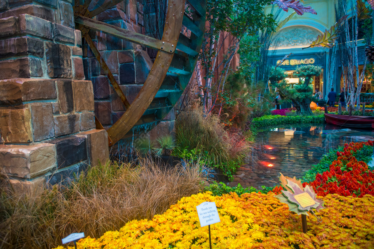ラスベガス 10 月 23 日秋のシーズンのベラージオ ホテル温室 植物園 13 年 10 月 23 日ラスベガスでの 毎年 コンサバトリーを受ける季節の 5 つのテーマがあります の写真素材 画像素材 Image