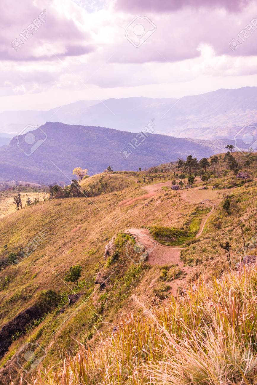 Mountain view 山の景色 【公式通販】