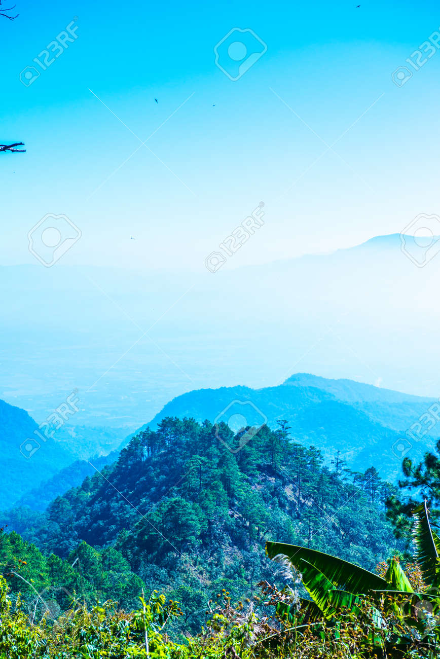 Mountain view  山の景色 Mountain view 山の景色 【公式通販】