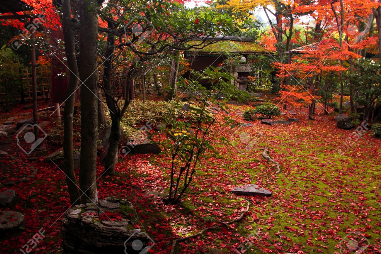 京都の紅葉と秋の日本庭園 の写真素材 画像素材 Image 京都の紅葉と秋の日本庭園 の写真素材 画像素材 Image