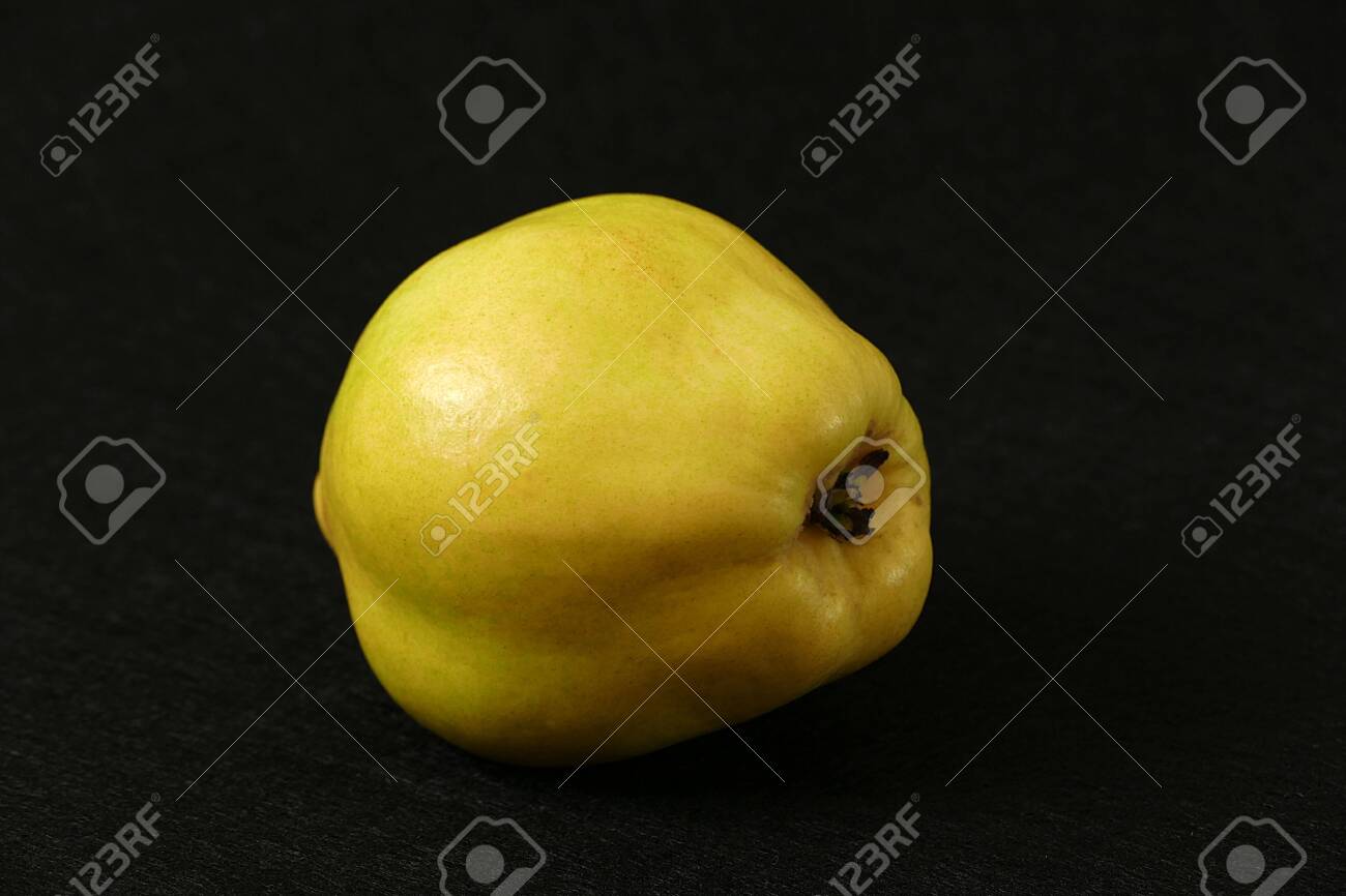 One Quince On Black Ground Stock Photo Picture And Royalty Free Image Image