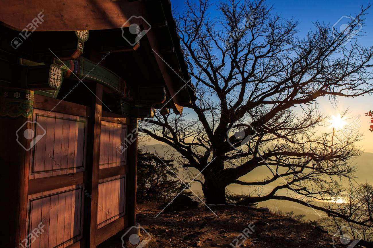朝の日差し の写真素材 画像素材 Image 1740 朝の日差し の写真素材 画像素材 Image 1740